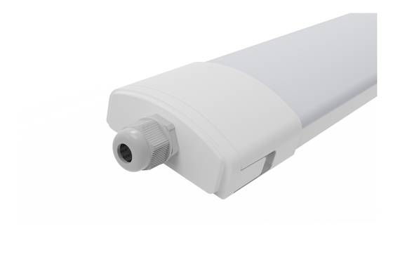 DUALRAYS 600mm 20 lumière du watt IP65 LED Triproof avec suspendre extérieur monté