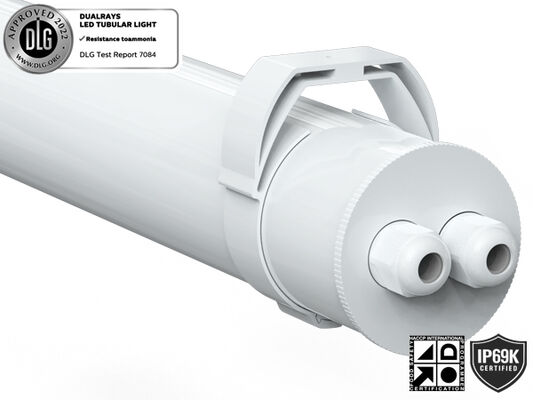 Tube LED Super IP69K IP66 TB7 avec puissance commutable par DIP Switch/3CCT/3 phases, efficacité 160LPW