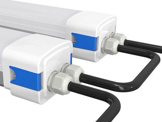 Lumière étanche à l'humidité LED DUALRAYS D5 avec alimentation commutable par DIP/3CCT 160LPW Efficacité