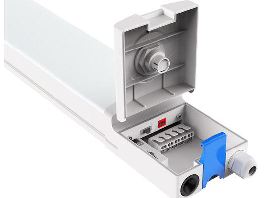 Lampe à étanchéité LED D4 jusqu'à 160 LPW dotée d'un capuchon rapide et d'un câblage connectable