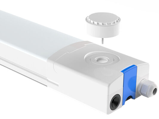 Lampe à étanchéité LED D4 jusqu'à 160 LPW dotée d'un capuchon rapide et d'un câblage liable prêt pour les situations d'urgence avec 4W@3HRS