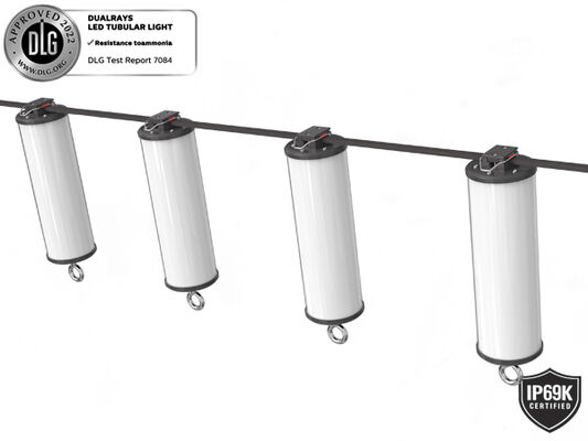 15W IP66/IP69K 140lm/W LED Portable lumière de travail pour l'éclairage maritime et temporaire