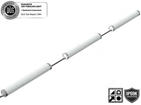 80W 15000mm a produit la lumière de preuve de temps de LED avec la protection IP65