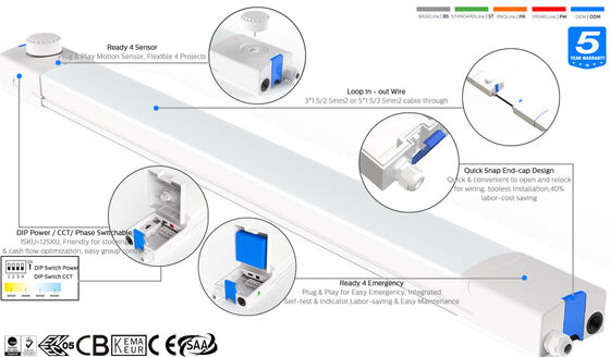 Lampe LED D4 résistante à l'humidité 160LPW avec prise d'urgence Ready 4 4W @ 3HRS avec changement de phase pour le contrôle de groupe