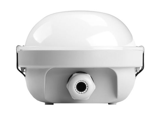 Dualrays D2.5 160LmW 30W 5ft a mené la surface de lumière de preuve de vapeur montée