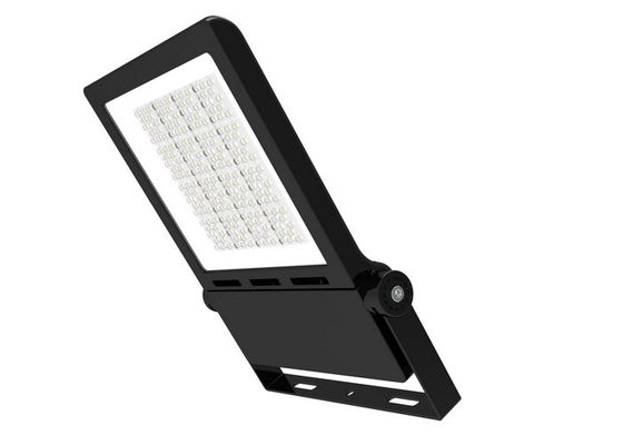 IK10 100W LED folâtre les projecteurs au sol avec IP66 pour l'extérieur de construction