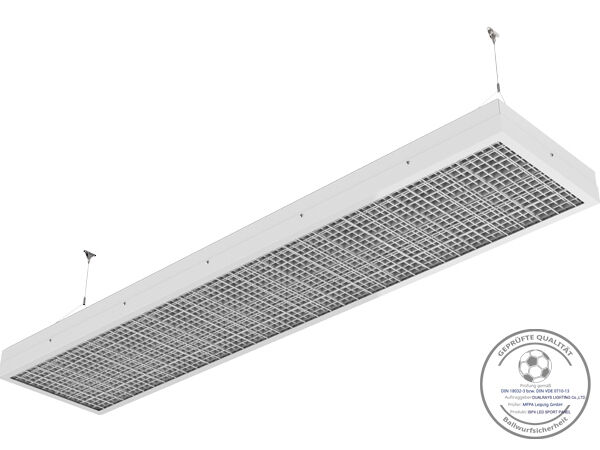 CERT de la CE de RoHS de puissance élevée d'Effficiency IP66 de protection des projecteurs 750W IP66 IK10 de la série LED de Dualrays F5 pour la cour du football