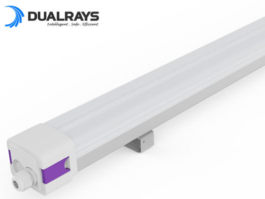 Lampe LED DUALRAYS D5 résistante à l'humidité avec puissance commutable DIP/efficacité 3CCT 160LPW avec durée de vie moyenne du luminaire 62 000 heures (L80B10)