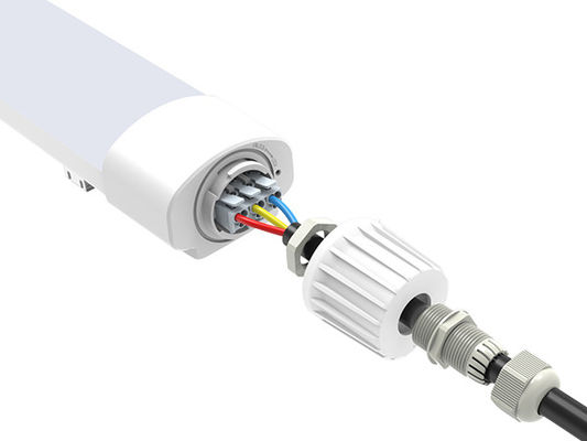 Pleine tri preuve en plastique de vapeur de la lumière 36W D2 IP65 LED de preuve IP65 léger IK08 pour le projet de Whoelsale